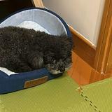 （分類：）位於 。 由 hello_mrtsang 提交（商品編號 1380069081，圖片 1）。簡介： 。