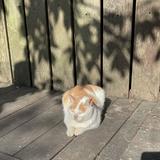 (Category: ) located in . Submitted by zeuiseong (Listing ID 1368703288, Image 1). Description: .