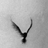 (Kategori: ) berada di . Dikirim oleh salfah (ID iklan 1249374871, Gambar 1). Deskripsi: .