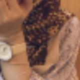 (Category: ) located in . Submitted by ainazahira02659 (Listing ID 1458559891, Image 1). Description: .
