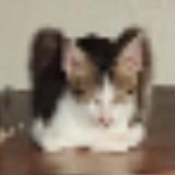 (Category: ) located in . Submitted by brownfingers (Listing ID 1379864979, Image 1). Description: .
