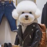 (分類:)位於 。 由 tommy3690 提交(商品編號 1403621421,圖片 1)。簡介: 。
