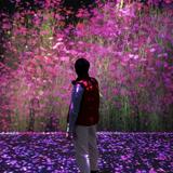 （分類：）位於 。 由 hunghungkai 提交（商品編號 1383505414，圖片 1）。簡介： 。