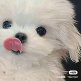 由 beom1863565 (刊登 ID 1379509713，圖片 1) 提交，位於 的 (類別：)，說明：。