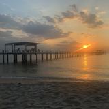 (Category: ) located in . Submitted by painstaking (Listing ID 1319078570, Image 1). Description: .