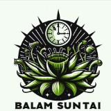 (Kategori: ) berada di . Dikirim oleh balam_suntai (ID iklan 1378143393, Gambar 1). Deskripsi: .