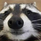 （分類：）位於 。 由 muhahahah 提交（商品編號 1382150009，圖片 1）。簡介： 。