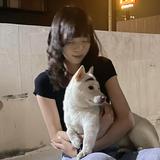 由 174._.55 (刊登 ID 1383568647，圖片 1) 提交，位於 的 (類別：)，說明：。