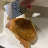 由 molly__su (刊登 ID 1384579808，圖片 1) 提交，位於 的 (類別：)，說明：。