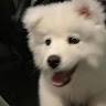 (分類:)位於 。 由 yejiahaoyj78007 提交(商品編號 1460161222,圖片 1)。簡介: 。
