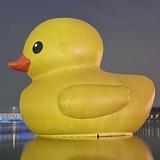 (分類:)位於 。 由 prince_himhim 提交(商品編號 1370455350,圖片 1)。簡介: 。