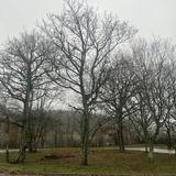 (Category: ) located in . Submitted by all_at_20 (Listing ID 1382162753, Image 1). Description: .