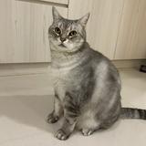 由 s610julia (刊登 ID 1379214059，圖片 1) 提交，位於 的 (類別：)，說明：。