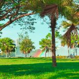 (Category: ) located in . Submitted by ahlam_say (Listing ID 1437119713, Image 1). Description: .