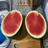 (Category: ) located in . Submitted by k.e.a.n.e (Listing ID 1380188620, Image 1). Description: .