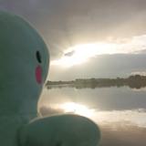 (Category: ) located in . Submitted by lhshobi (Listing ID 1375593387, Image 1). Description: .