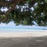(Category: ) located in . Submitted by retvsl (Listing ID 1349774603, Image 1). Description: .
