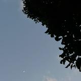由 jane26chung (刊登 ID 1383288512，圖片 1) 提交，位於 的 (類別：)，說明：。