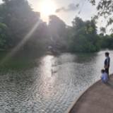 (Category: ) located in . Submitted by lincheungg (Listing ID 1377278123, Image 1). Description: .