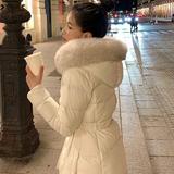 由 shihzih (刊登 ID 1382754813，圖片 1) 提交，位於 的 (類別：)，說明：。