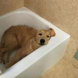 (Category: ) located in . Submitted by xyyyy_ (Listing ID 1018497725, Image 1). Description: .