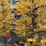 (Category: ) located in . Submitted by d6yn8 (Listing ID 1375556242, Image 1). Description: .