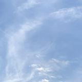(Category: ) located in . Submitted by jetshark (Listing ID 1283692167, Image 1). Description: .