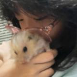 (Category: ) located in . Submitted by ksk132 (Listing ID 1376249754, Image 1). Description: .