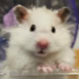 (Category: ) located in . Submitted by yip.george (Listing ID 1370011133, Image 1). Description: .