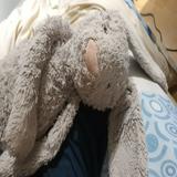 (Category: ) located in . Submitted by hellokathy99 (Listing ID 1370624741, Image 1). Description: .