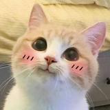 由 minmin_30 (刊登 ID 1376096755，圖片 1) 提交，位於 的 (類別：)，說明：。