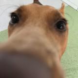 (Category: ) located in . Submitted by regularfries (Listing ID 1373075976, Image 1). Description: .