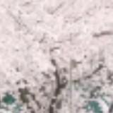 （分類：）位於 。 由 shebychim 提交（商品編號 1322943245，圖片 1）。簡介： 。