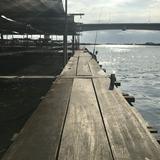 (Category: ) located in . Submitted by syidizahari (Listing ID 1443854876, Image 1). Description: .