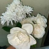 (Kategori: ) berada di . Dikirim oleh thriftyrose (ID iklan 1363651307, Gambar 1). Deskripsi: .