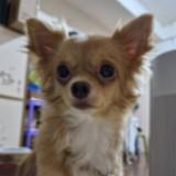 (Category: ) located in . Submitted by happinessstudio3188 (Listing ID 1457015959, Image 1). Description: .