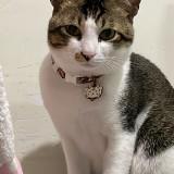 （分類：）位於 。 由 mlammmm 提交（商品編號 1363847328，圖片 1）。簡介： 。