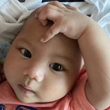 (Category: ) located in . Submitted by joyce_sarmi (Listing ID 1376335041, Image 1). Description: .
