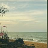 (Category: ) located in . Submitted by nuratirah118 (Listing ID 1462104371, Image 1). Description: .