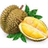 （分類：）位於 。 由 bbysc 提交（商品編號 1301222078，圖片 1）。簡介： 。