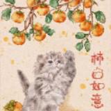 由 the__fish (刊登 ID 1383423115，圖片 1) 提交，位於 的 (類別：)，說明：。