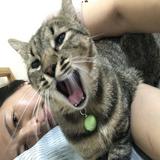 由 herkelly (刊登 ID 1364044354，圖片 1) 提交，位於 的 (類別：)，說明：。