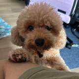 (Category: ) located in . Submitted by sannywhut (Listing ID 1359244008, Image 1). Description: .