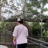 (Kategori: ) berada di . Dikirim oleh by_dms (ID iklan 1385028248, Gambar 1). Deskripsi: .