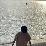 (Category: ) located in . Submitted by arrrrv (Listing ID 1300058868, Image 1). Description: .