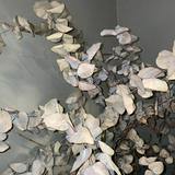 （分類：）位於 。 由 mmm83 提交（商品編號 1371034584，圖片 1）。簡介： 。