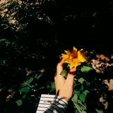 (Category: ) located in . Submitted by unaiskandar2812 (Listing ID 1430043324, Image 1). Description: .