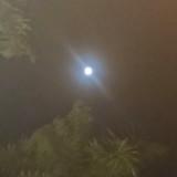 (Category: ) located in . Submitted by maria2024 (Listing ID 1109750077, Image 1). Description: .