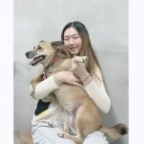 由 onemorewor49240 (刊登 ID 1384588199，圖片 1) 提交，位於 的 (類別：)，說明：。