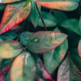 (Category: ) located in . Submitted by rameshmuthu (Listing ID 1381412009, Image 1). Description: .